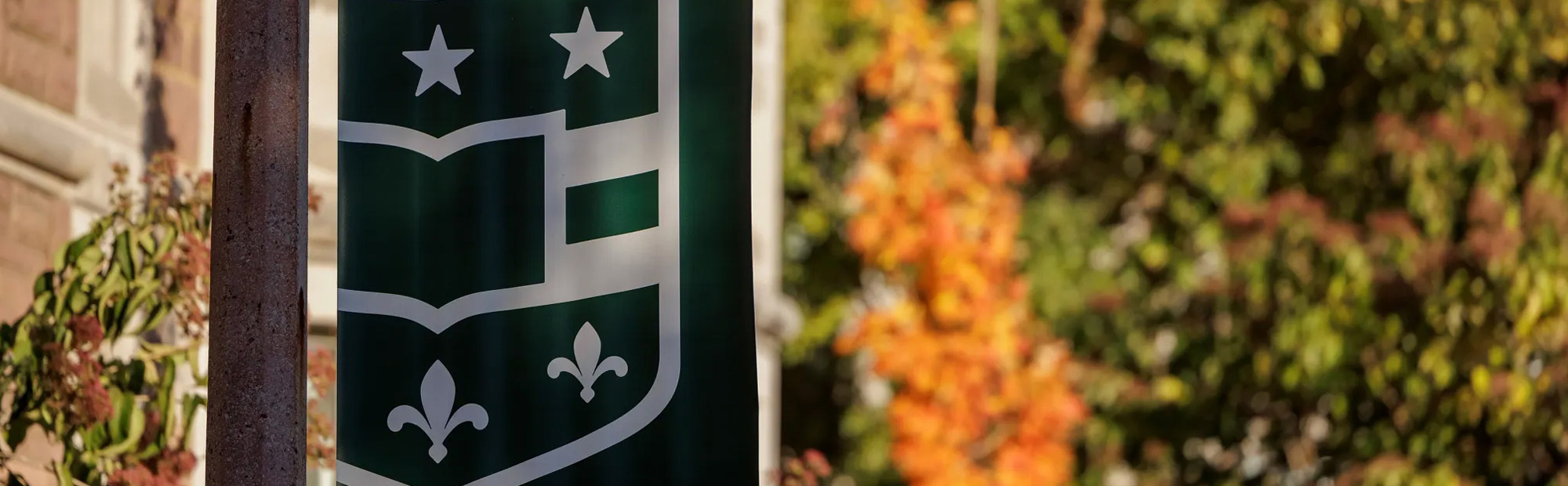 WashU flag